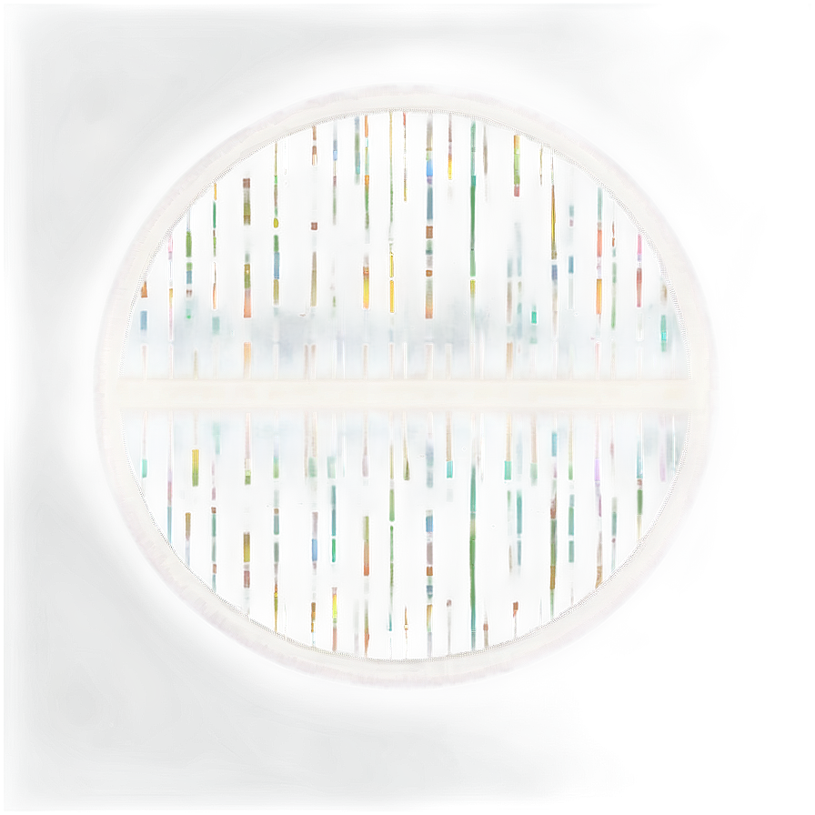 White Circle Outline Png Pnn86