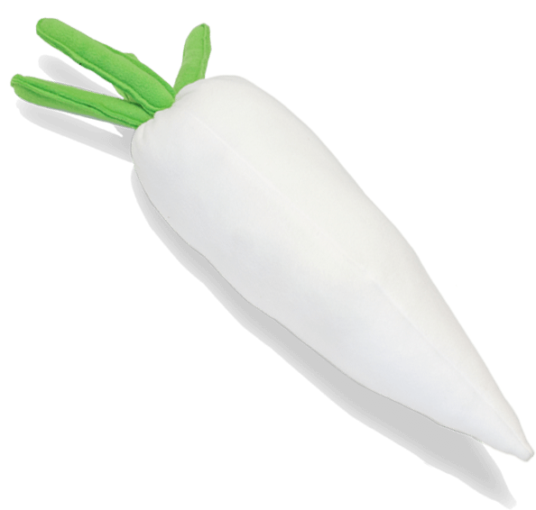 White Daikon Radishon Green Background