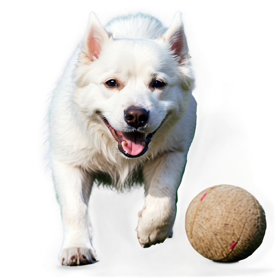 White Dog With Ball Png 81