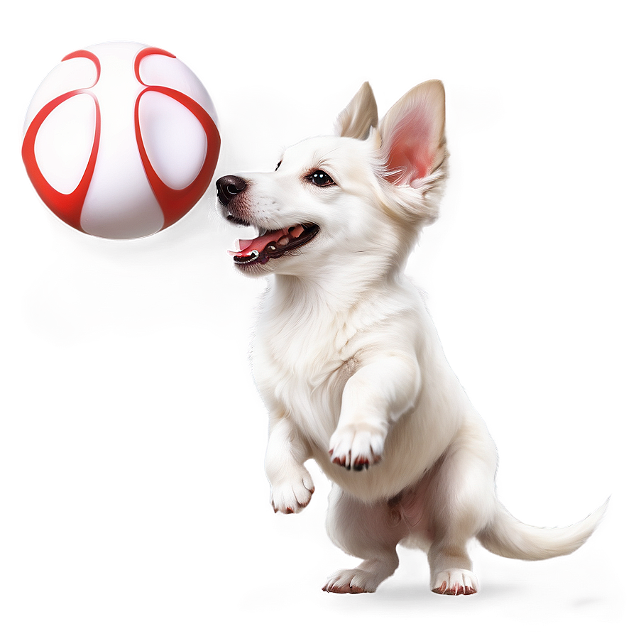 White Dog With Ball Png Eef70