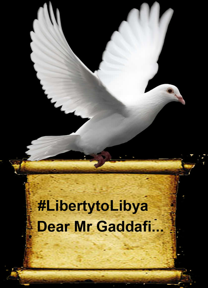 White Dove Libertyto Libya