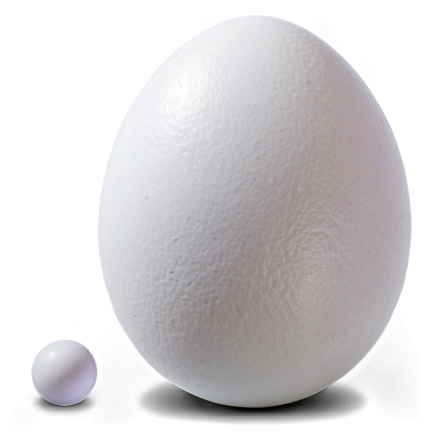 White Egg Natural Light Png 06292024