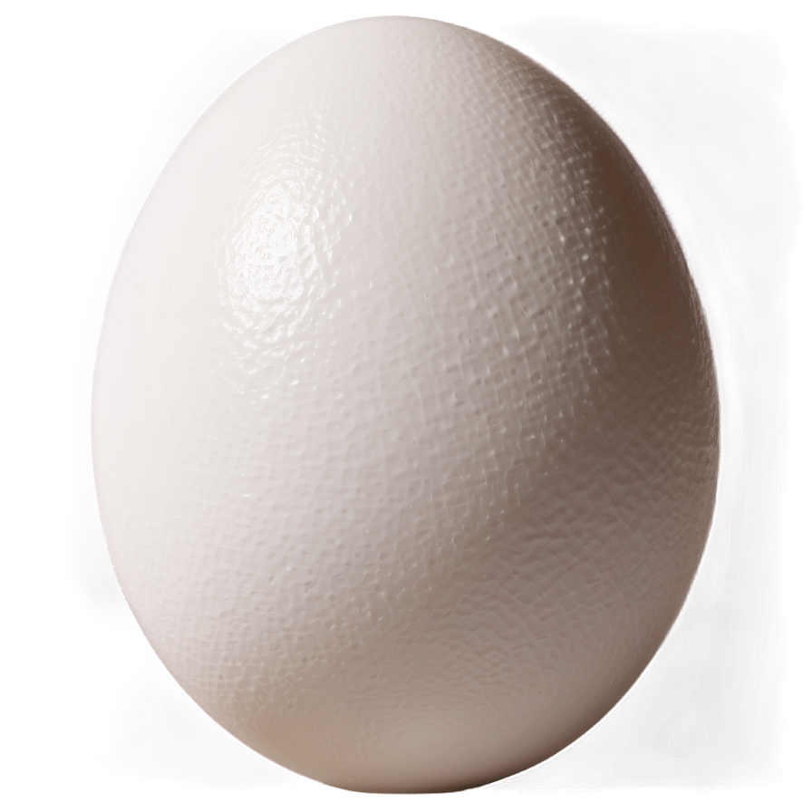 White Egg Stock Image Png 06292024