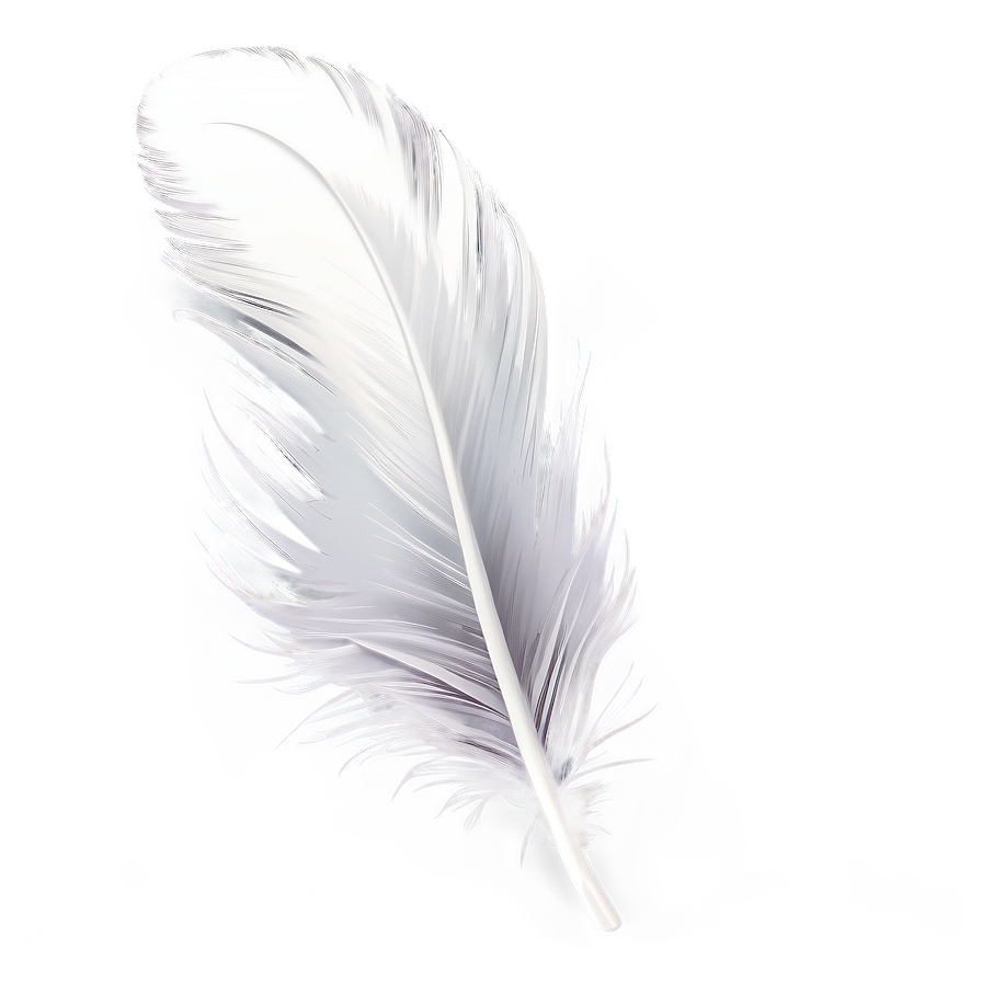 White Feather Detail Png Pjo