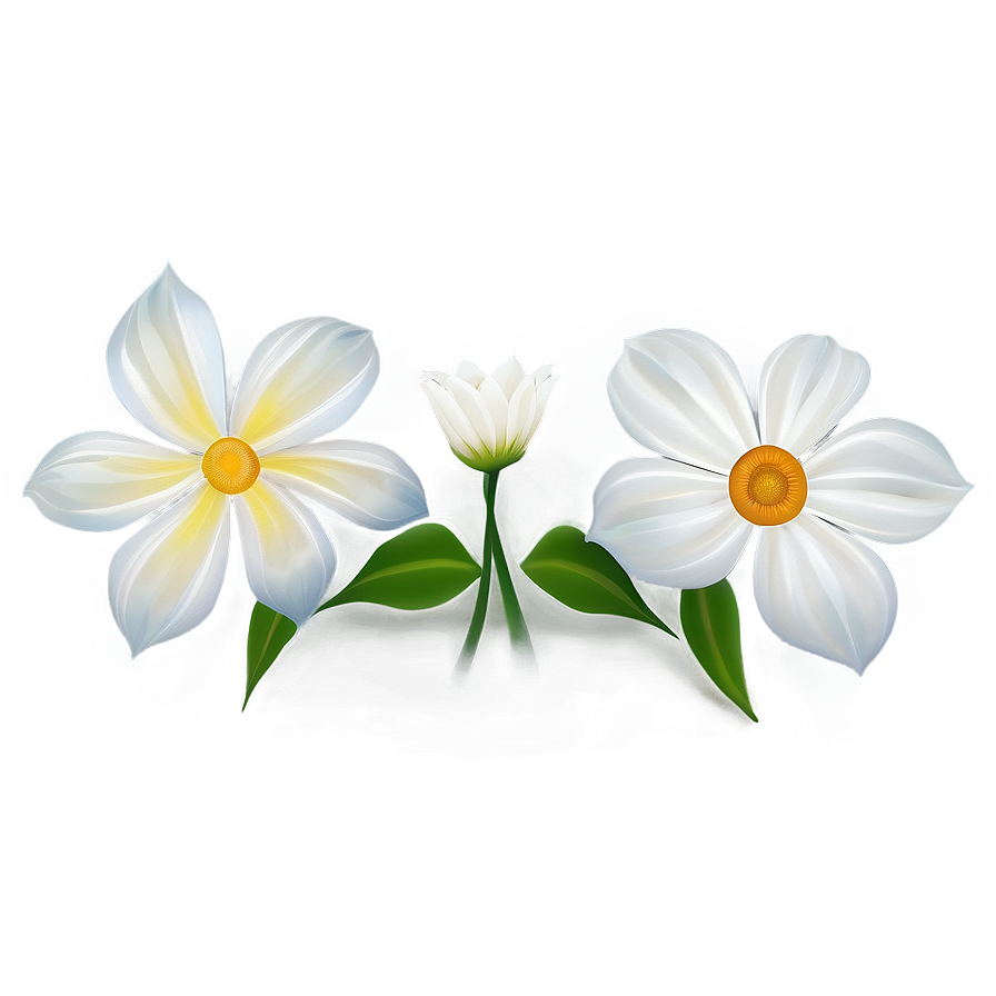 White Flower Art Png 88