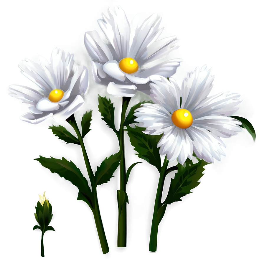 White Flower Clipart Png Pgl63