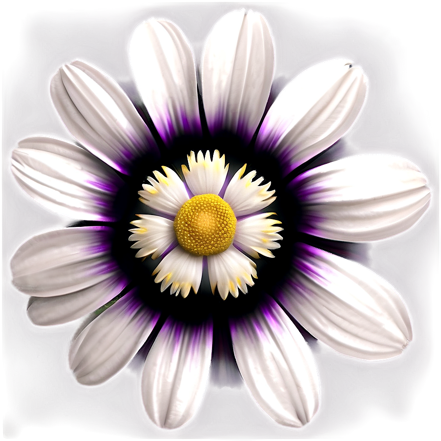 White Flower Theme Png 22