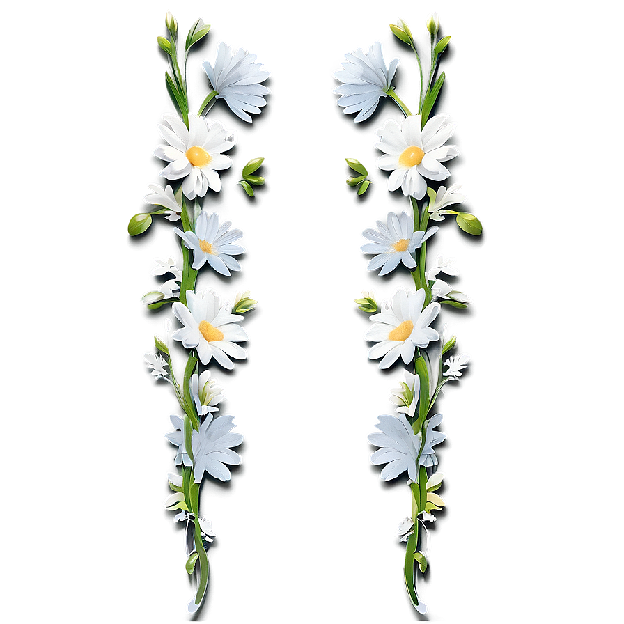 White Flowers Divider Png 05242024