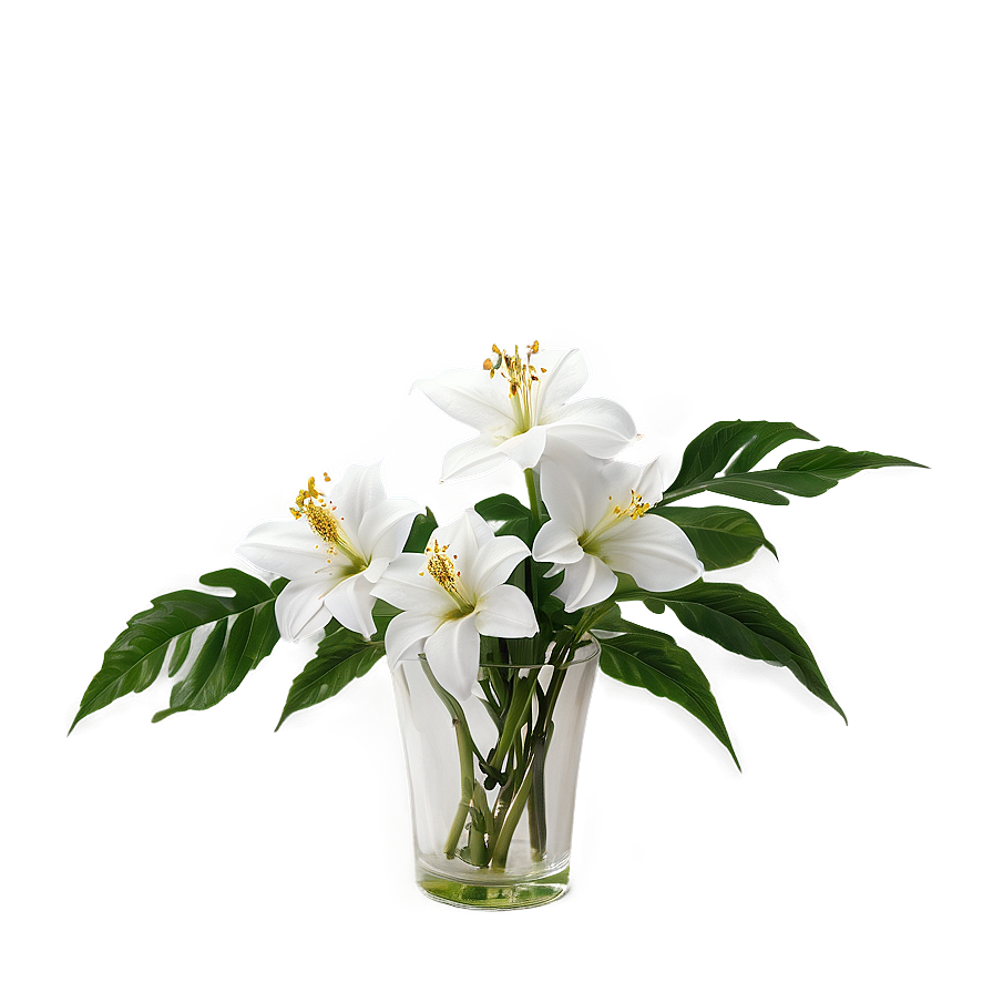 White Flowers In Vase Png Nve41