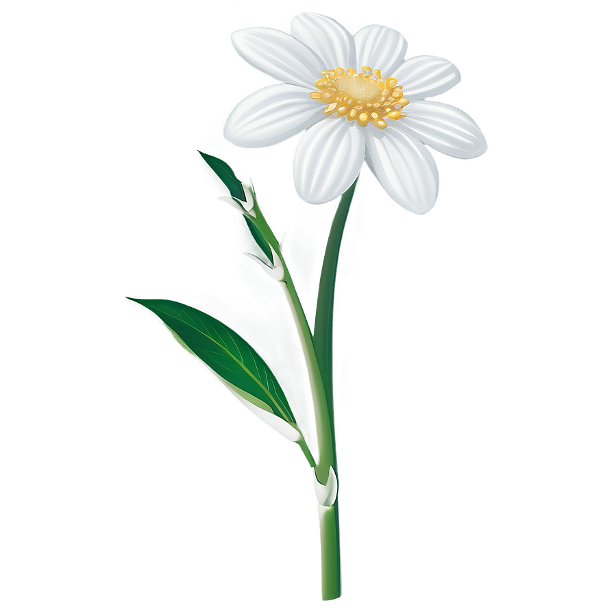 White Flowers Single Stem Png 05242024