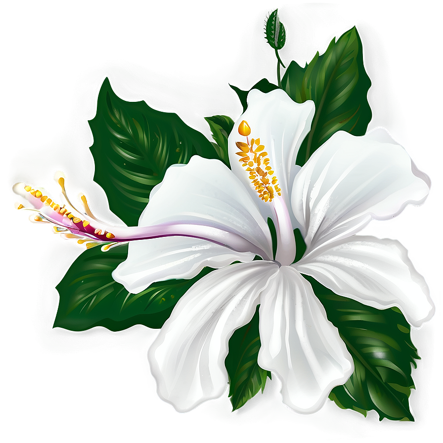 White Hibiscus Flower Png Ivy61