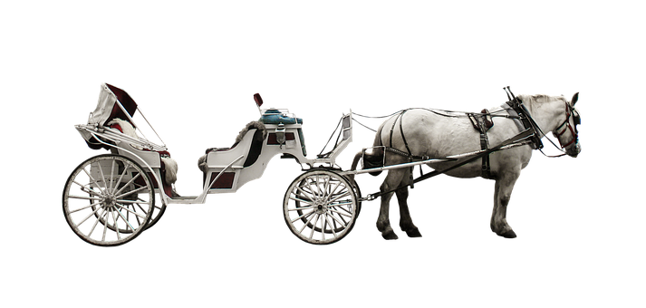 White Horse Drawn Carriage Black Background