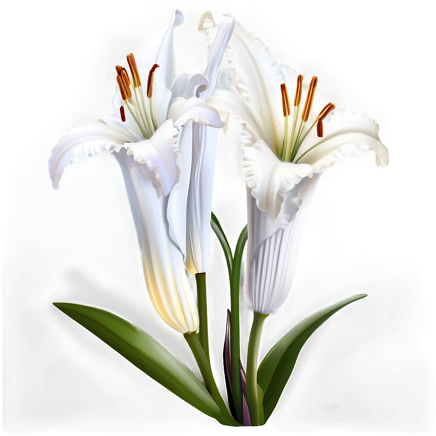 White Lily Flower Png Gjf