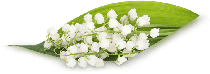 White Lilyofthe Valley Bouquet