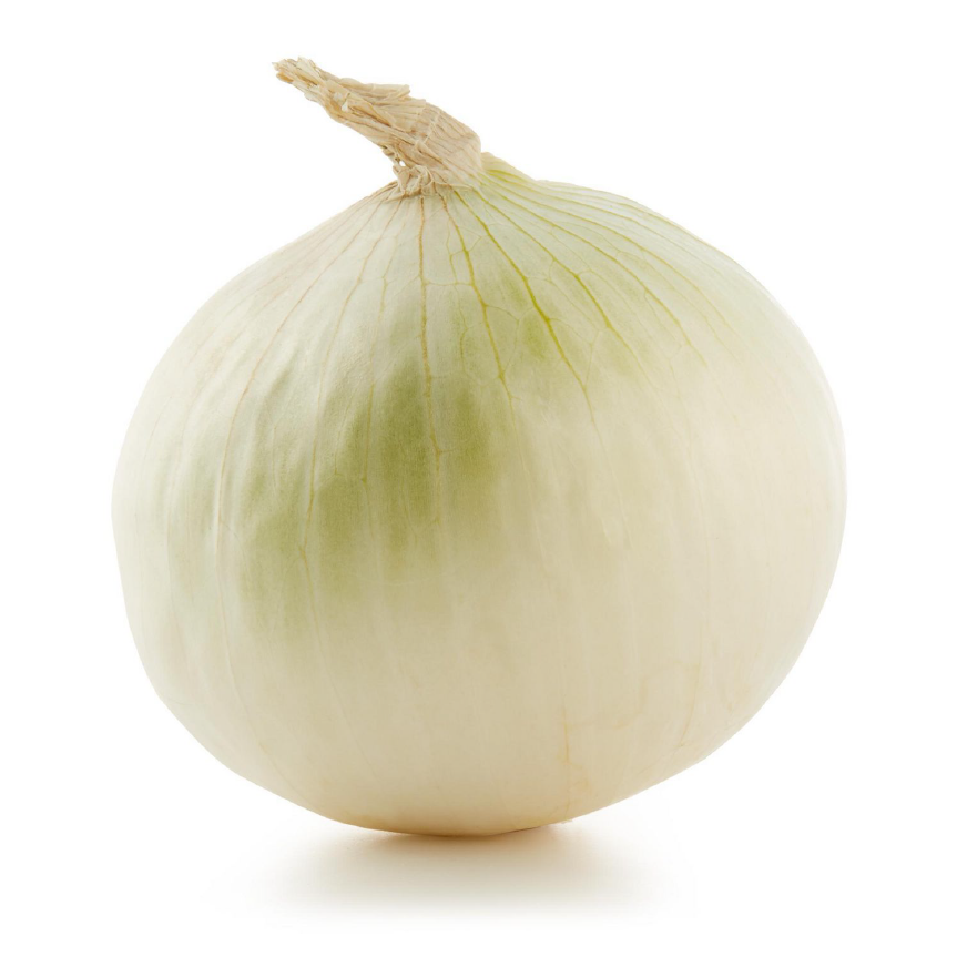 White Onion Isolated Background