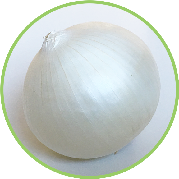 White Onion Single Item