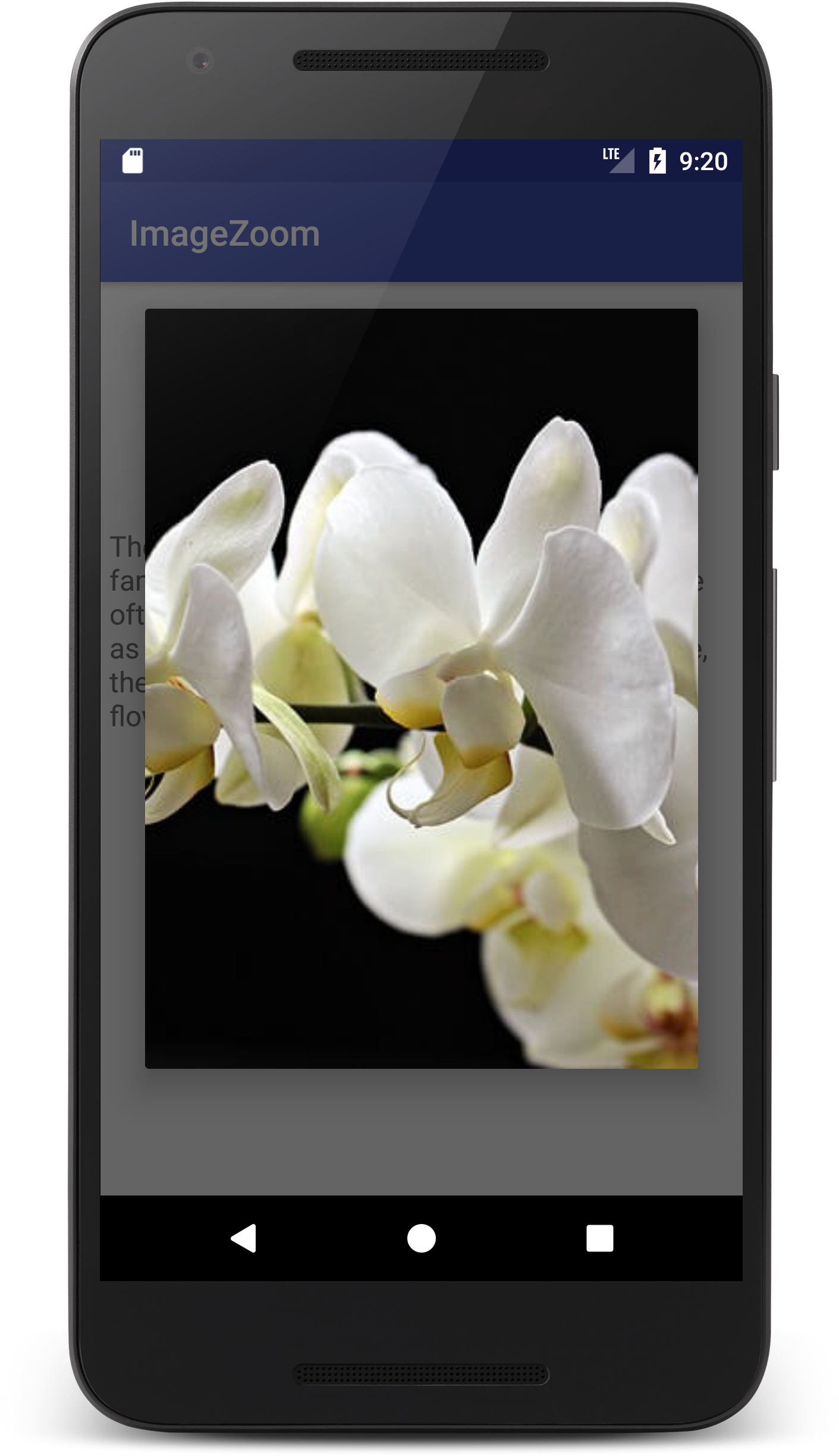 White Orchids Smartphone Display