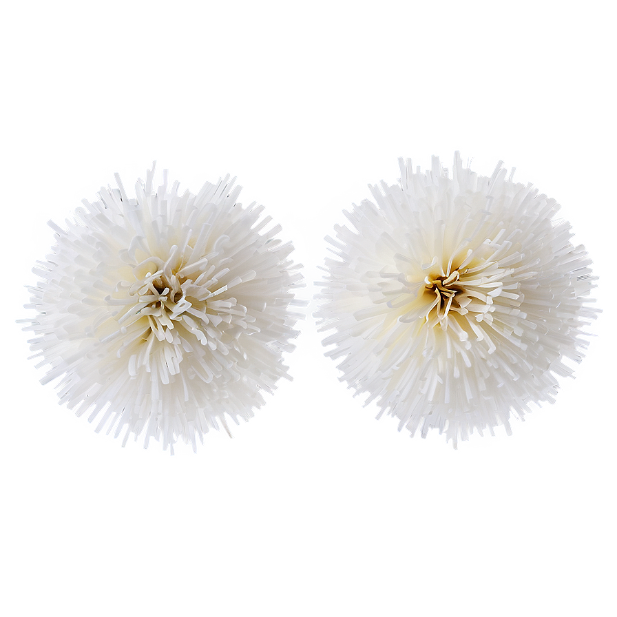 White Pom Poms Png Fdq25