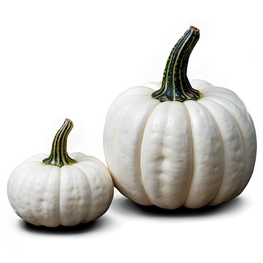 White Pumpkin Arrangement Png 93