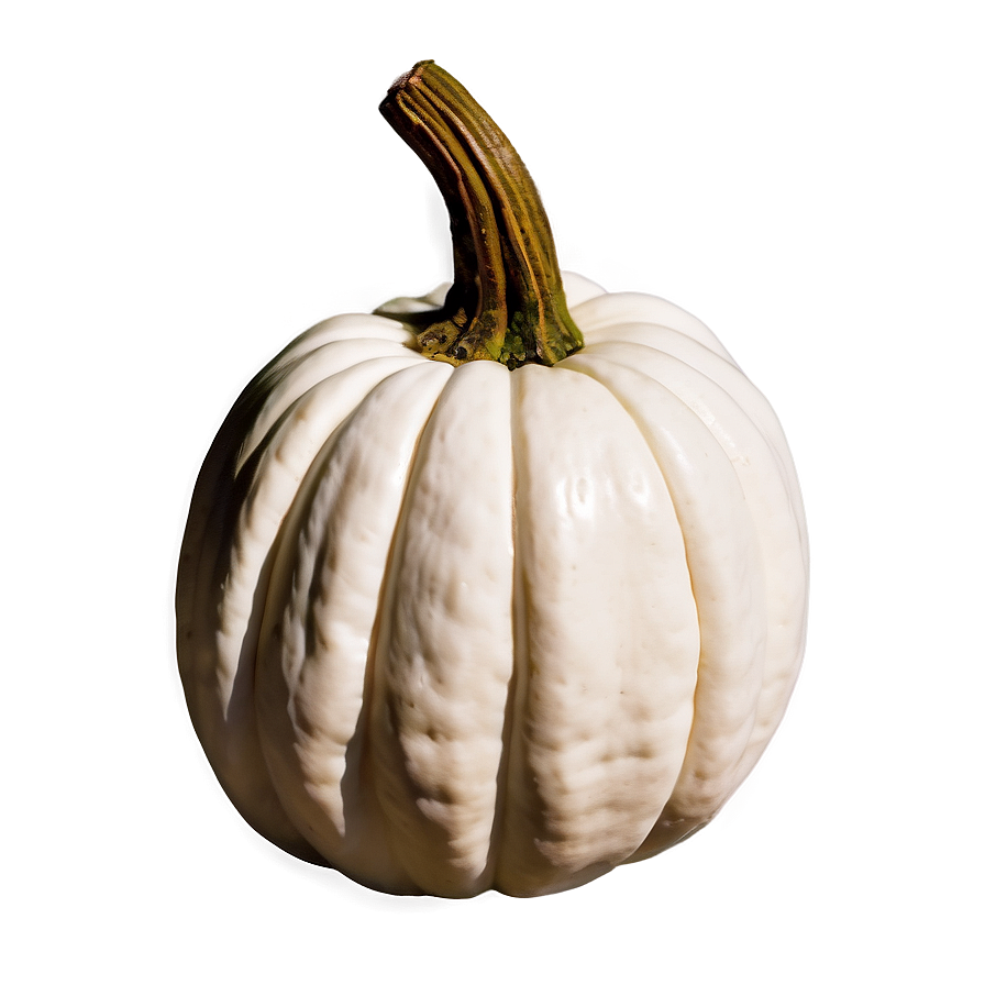 White Pumpkin Craft Png Bfn