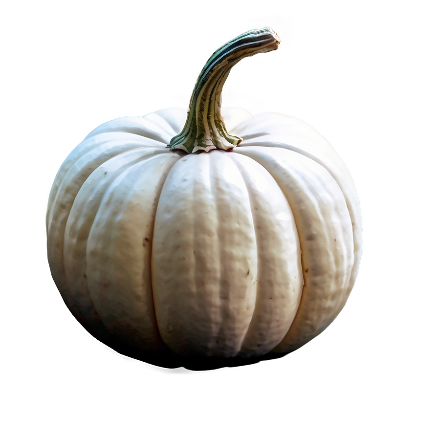 White Pumpkin Drawing Png 06212024