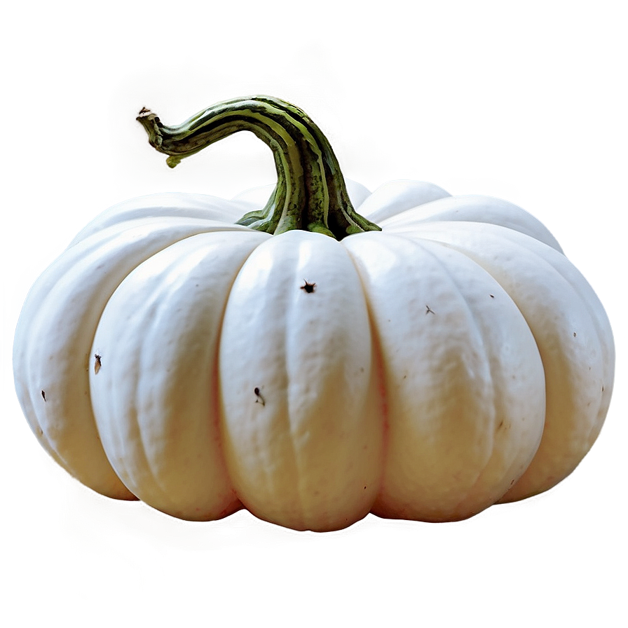 White Pumpkin Farm Png Lqi77