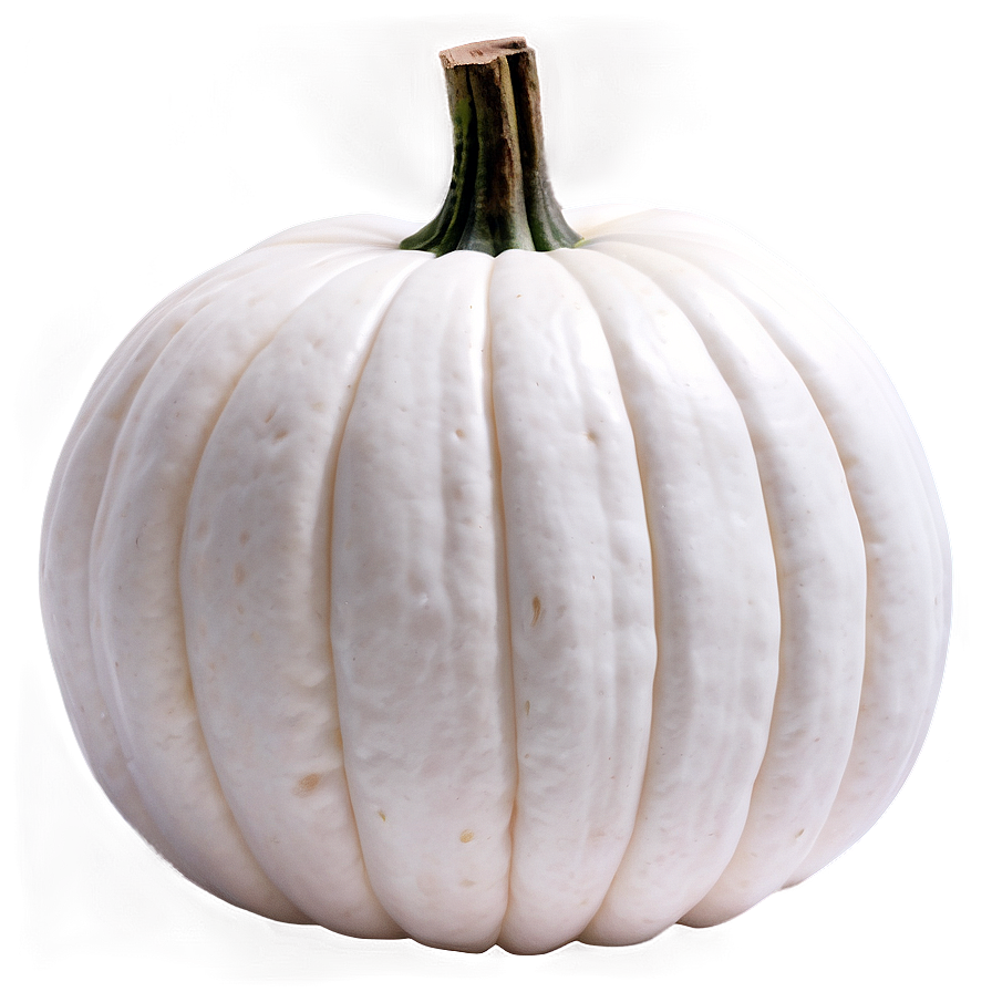 White Pumpkin For Fall Png Ilw5