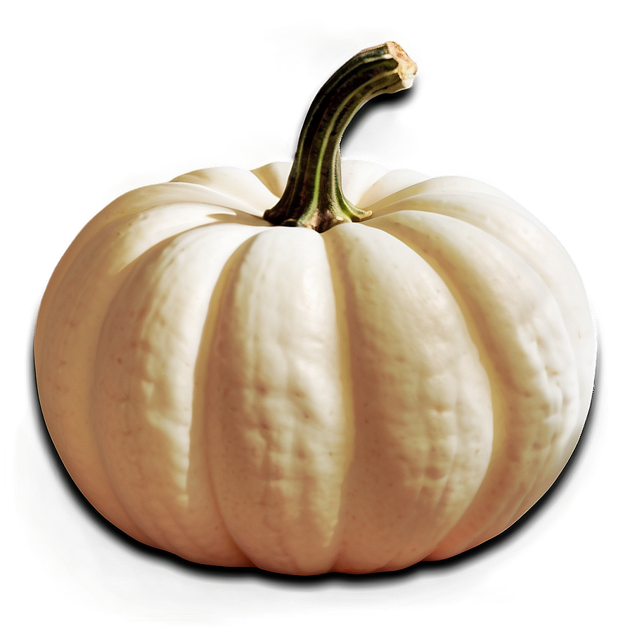 White Pumpkin For Halloween Png 06212024