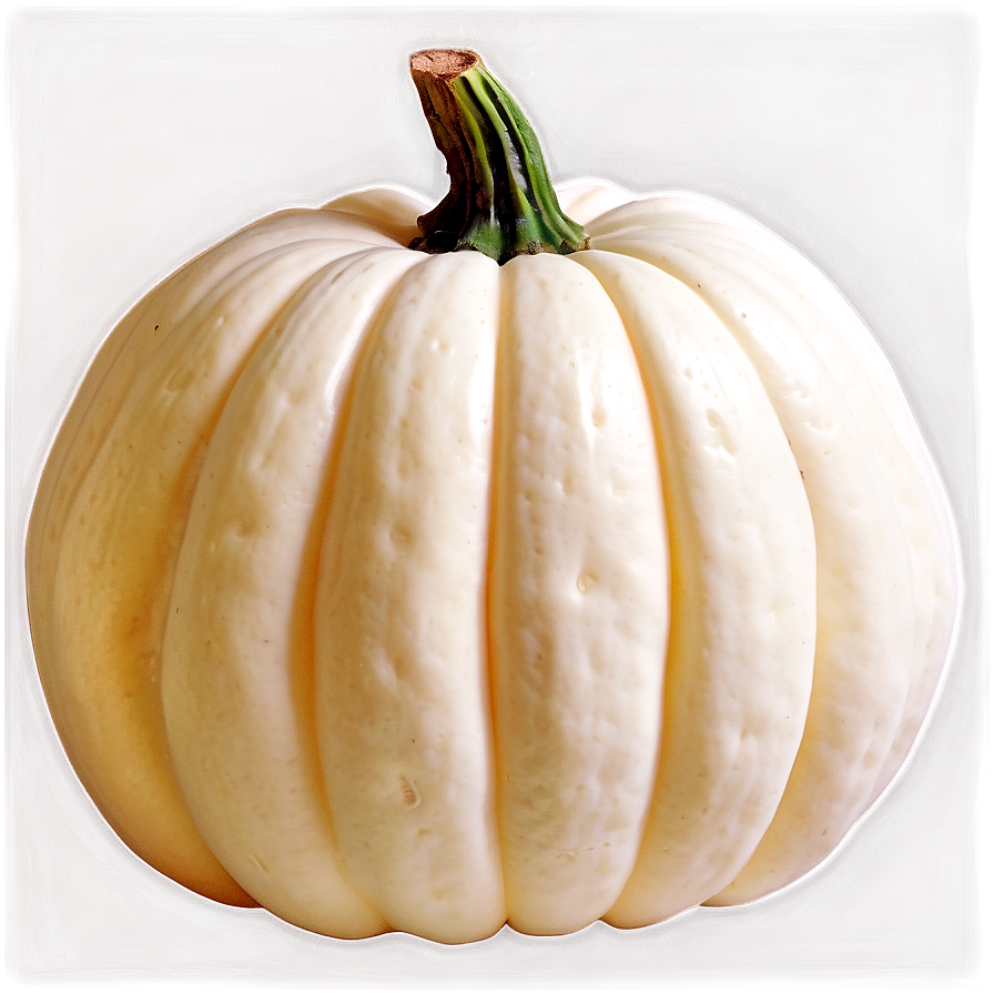 White Pumpkin Png 69