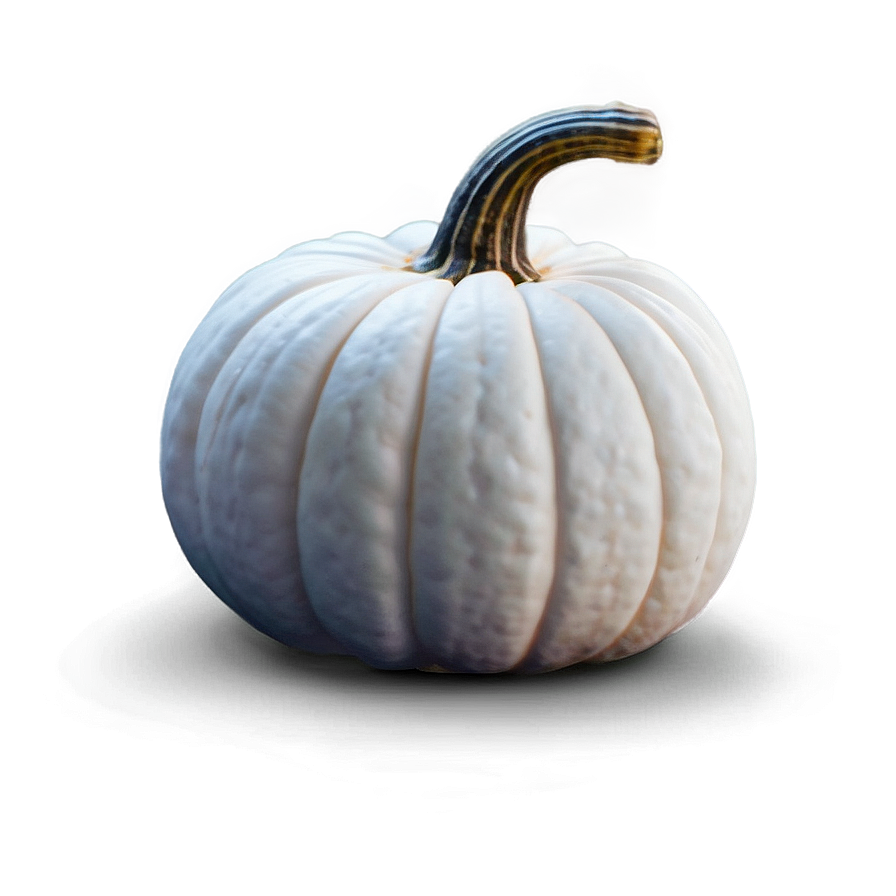 White Pumpkin Png Rlu82