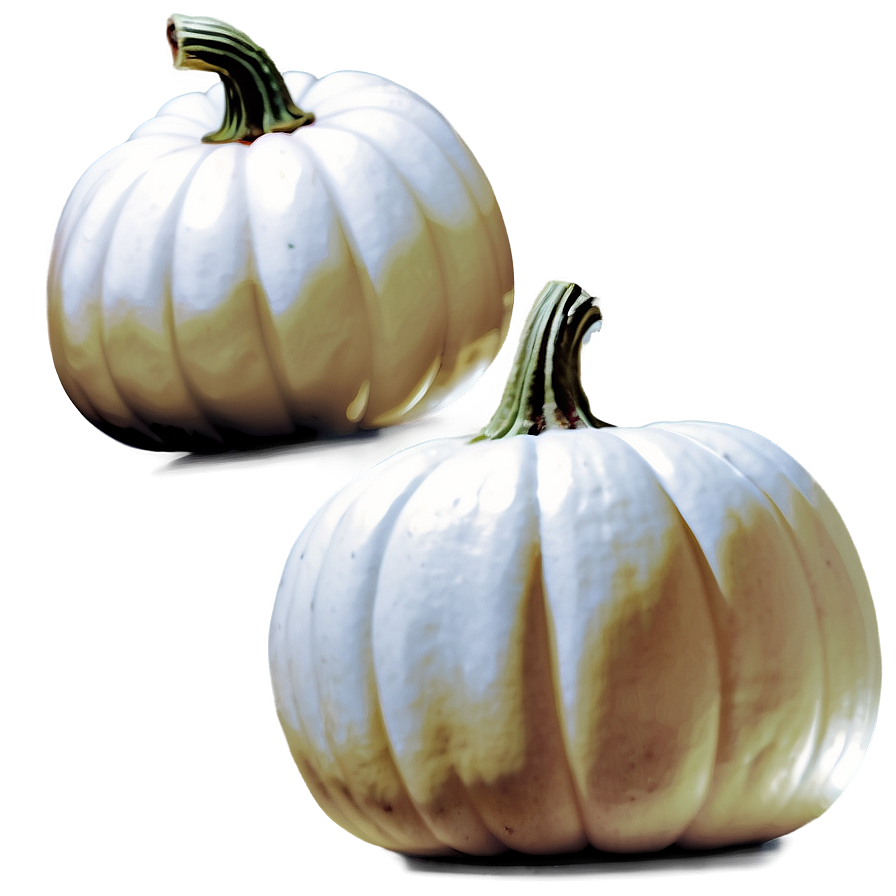 White Pumpkin Vector Png Xex