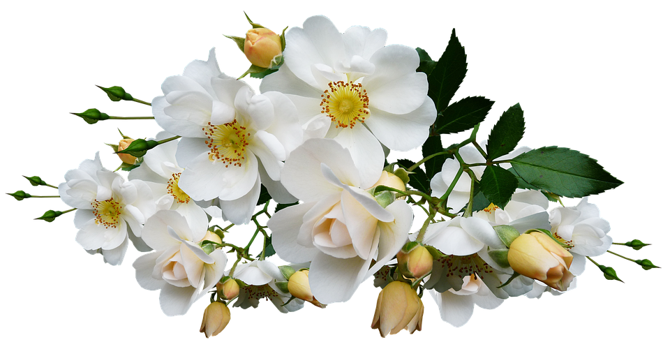 White Rose Bouquet Transparent Background