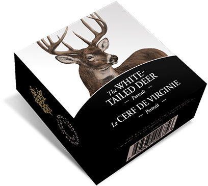 White Tailed Deer Portrait Box