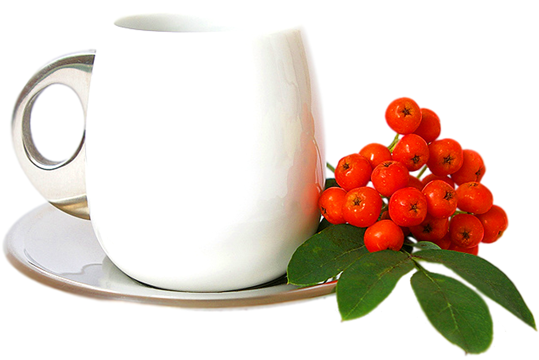 White Tea Cup With Rowan Berries