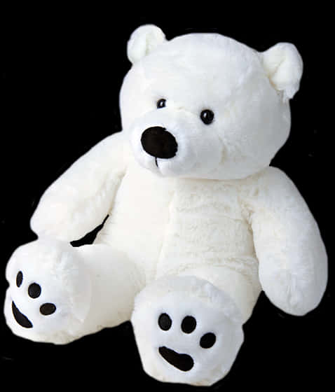 White Teddy Bear Black Background