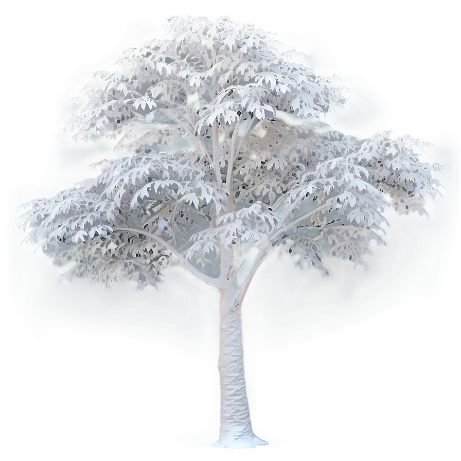 White Tree In Soft Focus Png Ftl78