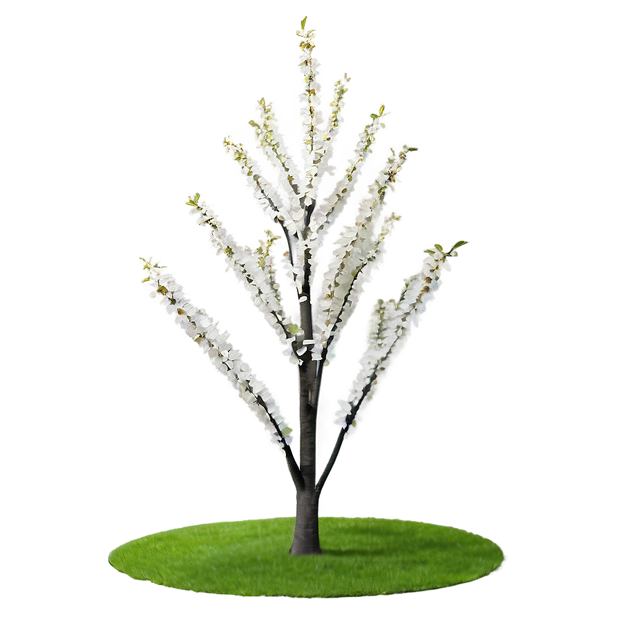 White Tree In Spring Bloom Png Qic