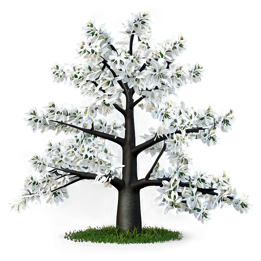 White Tree In Spring Bloom Png Yid