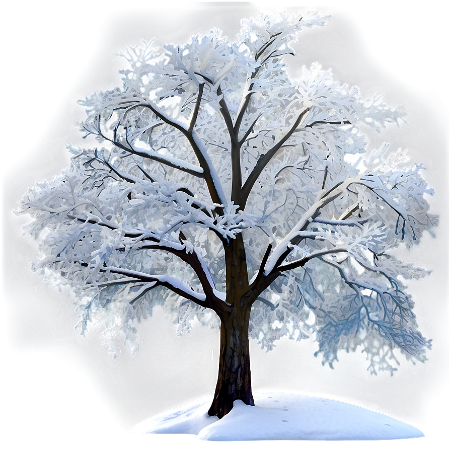 White Tree In Winter Wonderland Png 72