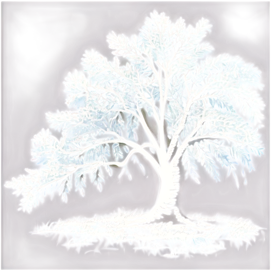 White Tree Silhouette Png 06252024