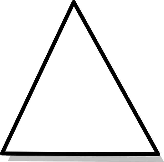 White Triangle Black Outline