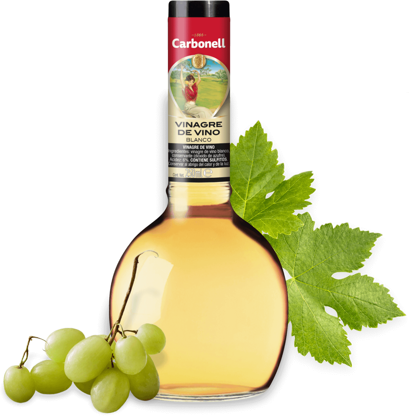 White Wine Vinegar Bottle With Grapes