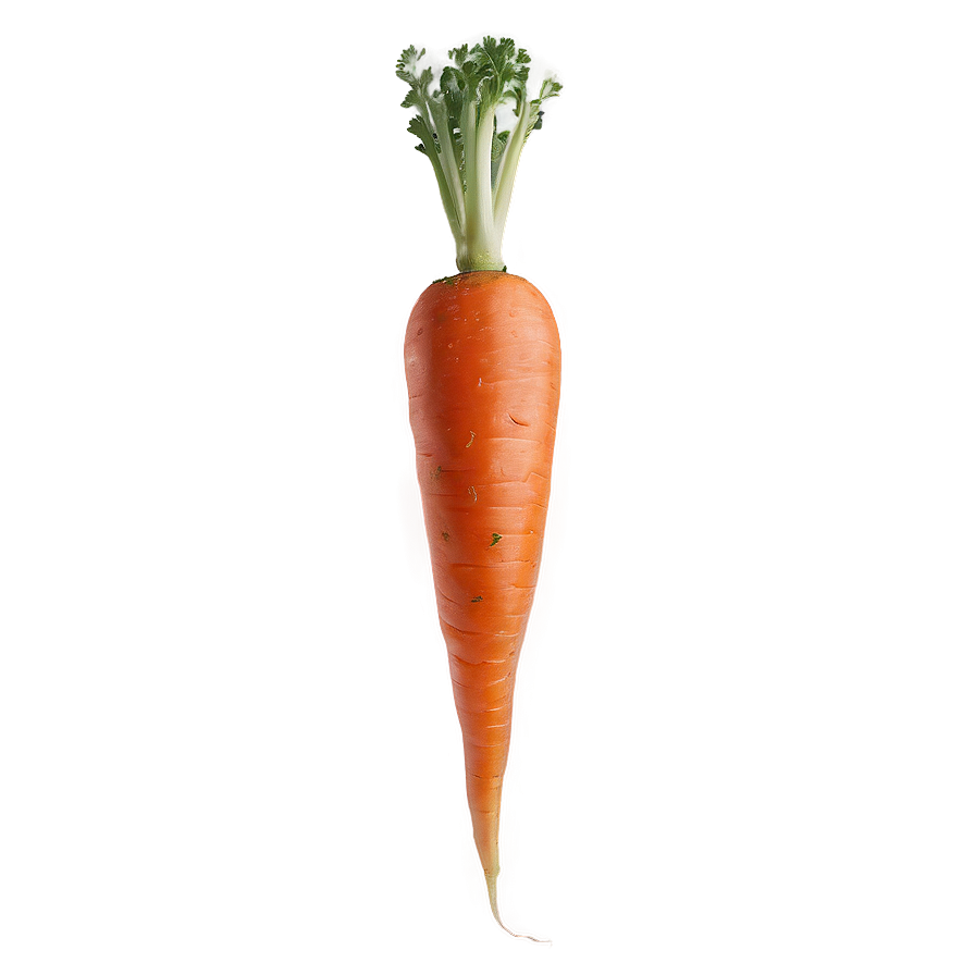 Whole Carrot Png 05242024