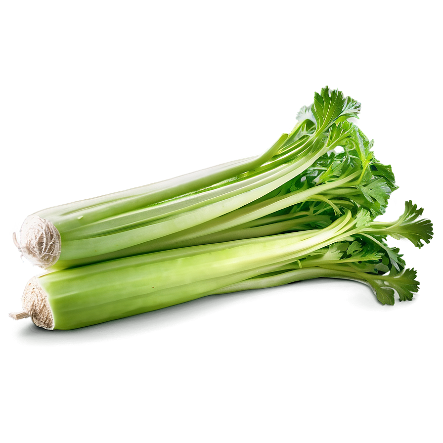 Whole Celery Bunch Png Bxj