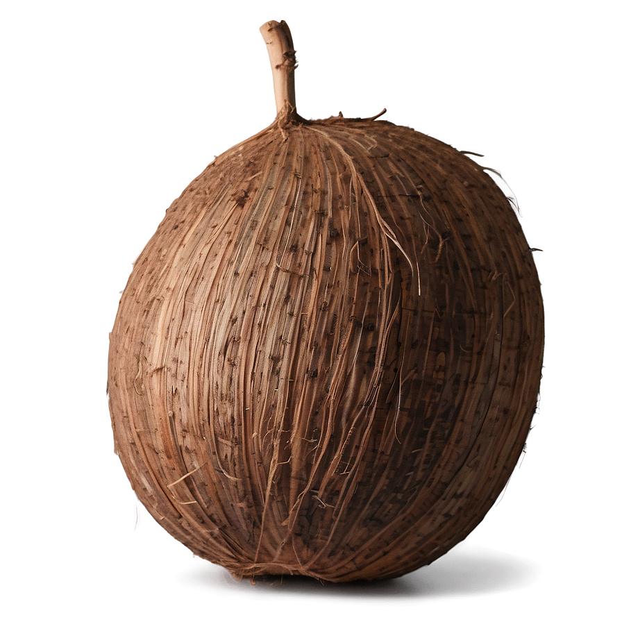 Whole Coconut Png Ugf23