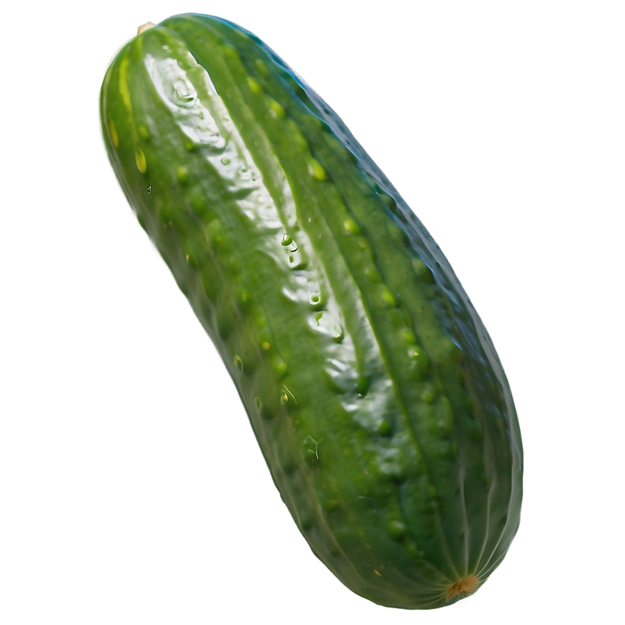 Whole Cucumber Png Hif