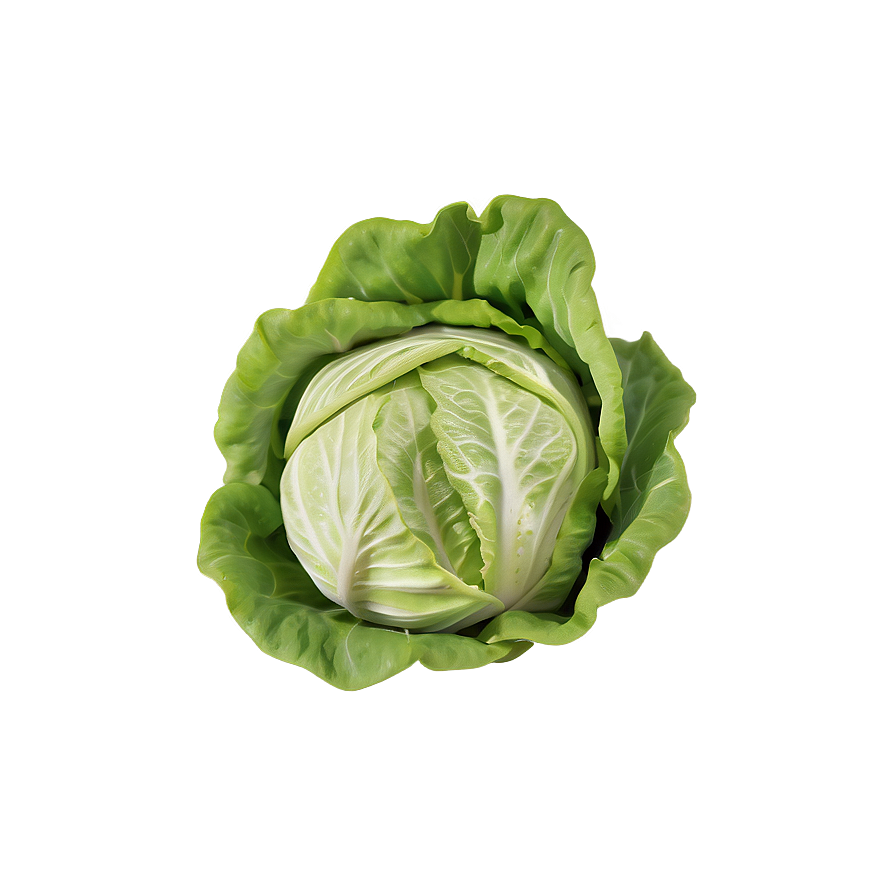 Whole Lettuce Head Png Nxo4