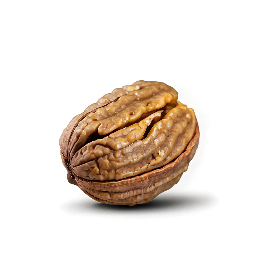 Whole Walnut Png 06122024