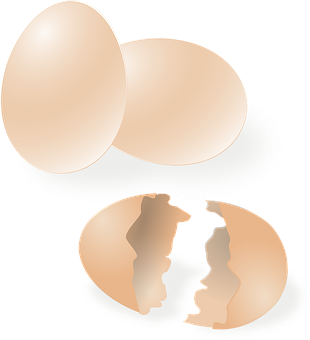 Wholeand Cracked Eggs Illustration