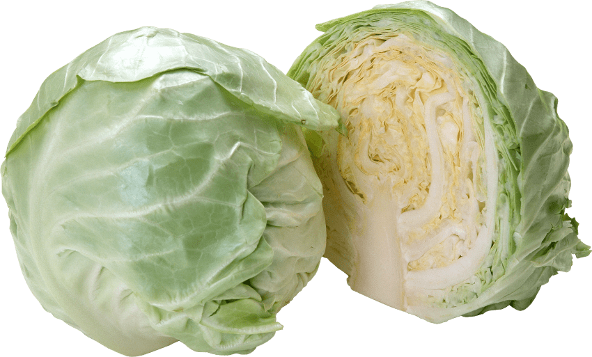 Wholeand Half Cabbage